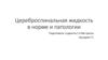 ЦСЖ в норме и патологии - Ахундова Т.Г