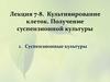 Культивирование клеток. Получение суспензионной культуры