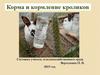 Корма и кормление кроликов