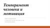 Темперамент человека и мотивация
