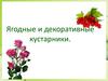 Ягодные и декоративные кустарники
