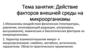 Действие факторов внешней среды на микроорганизмы