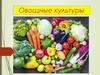 Овощные культуры