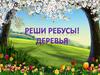 Реши ребусы!