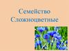 Семейство Сложноцветные