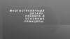 Многостраничный дизайн. Правила и основные принципы