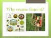 Why organic farming