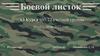 Боевой листок
