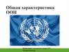 Общая характеристика ООН