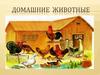 Домашние животные