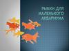 Рыбки для маленького аквариума