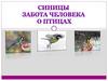 Синицы. Забота человека о птицах