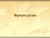 Фразеология