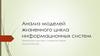 Анализ моделей жизненного цикла информационных систем