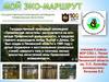 Мой эко-маршрут. Государственный природный заповедник "Приволжская лесостепь»