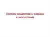 Потоки вещества и энергии в экосистемах