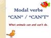 Modal verbs “can” / “can’t”. What animals can and can’t do