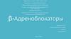 β-Адреноблокаторы