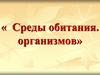 Среды обитания. организмов