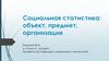 Социальная статистика. Объект, предмет, организация