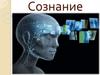 Сознание