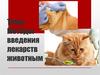 Методы введения лекарств животным