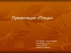 Птицы