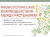 Физиологические взаимодействия между растениями