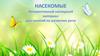 Насекомые. Интерактивный наглядный материал для занятий по развитию речи