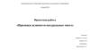 Признаки делимости натуральных чисел. Лицей №7
