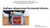 Выборы губернатора Ростовской области
