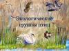 Экологические группы птиц