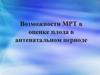 Возможности МРТ в оценке плода в антенатальном периоде