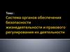 Система органов обеспечения безопасности