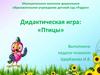 Дидактическая игра: «Птицы»