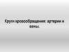 Круги кровообращения. Артерии и вены человека