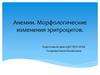 Анемии. Морфологические изменения эритроцитов