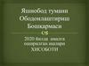 2020 йилда амалга оширилган ишлари