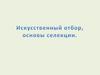 Искусственный отбор, основы селекции