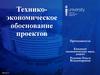 Технико-экономическое обоснование проектов. Виды технико-экономического обоснования и особенности содержания