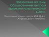 Осуществление контроля органами исполнительной власти