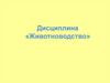 Экстерьер крупного рогатого скота. Практическое занятие № 1