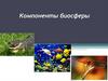 Компоненты биосферы. 11 класс