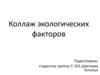 Коллаж экологических факторов