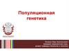Популяционная генетика