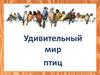 Удивительный мир птиц