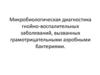 Микробиологическая диагностика гнойно-воспалительных заболеваний, вызванных грамотрицательными аэробными бактериями