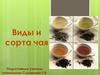 Виды и сорта чая