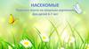 Насекомые. Пересказ текста по опорным картинкам. Для детей 6-7 лет