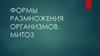Размножение организмов. Митоз